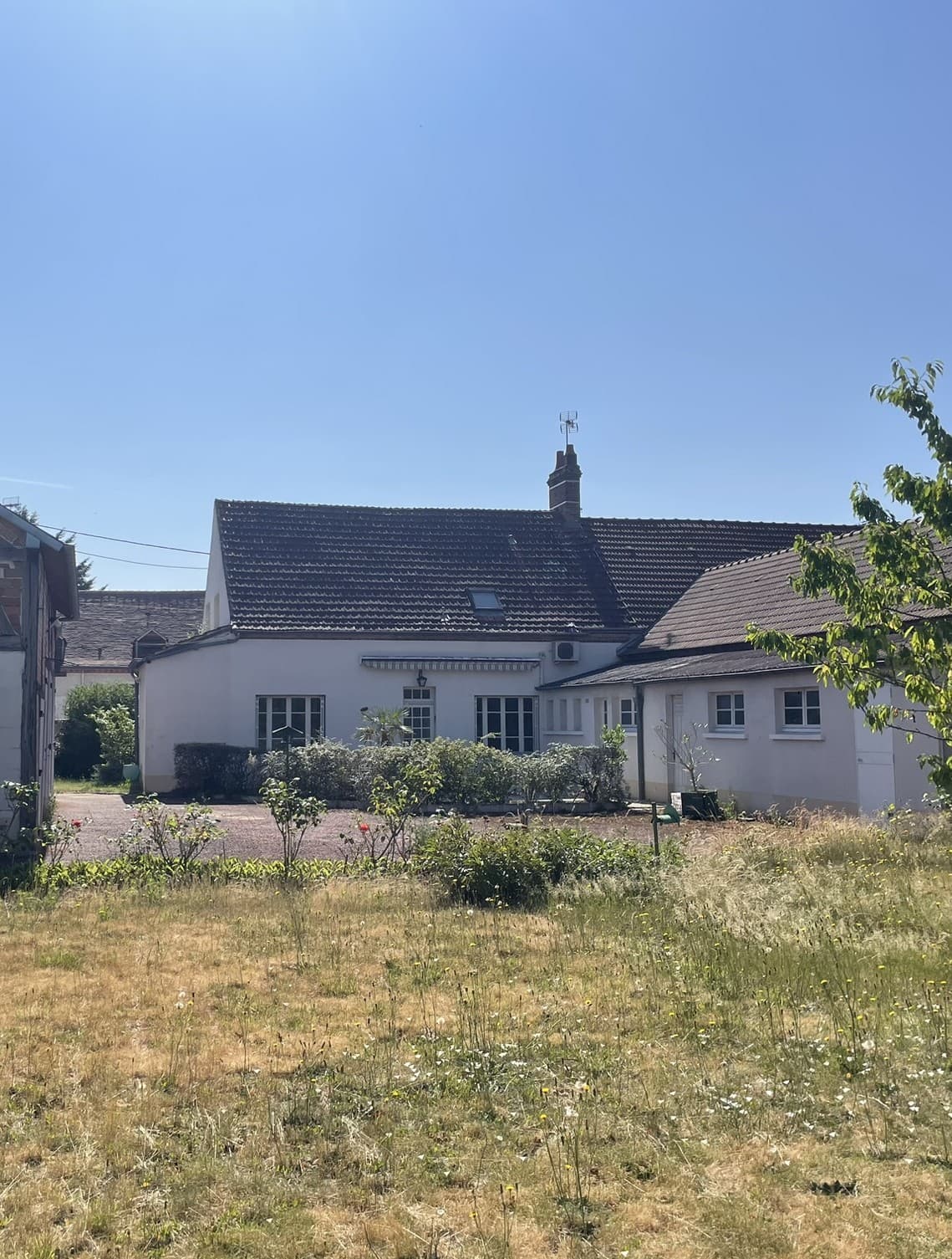 LAMOTTE